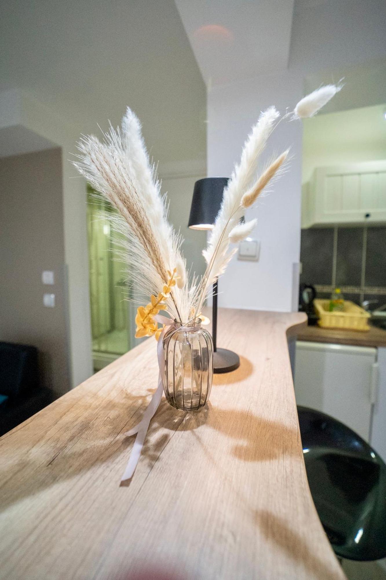 Apartmani Aleksandra U Centru Grada クラグイェヴァツ エクステリア 写真